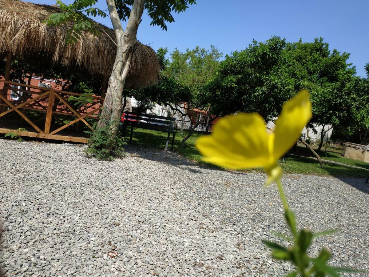Kolkhi Guest House Gonio Exterior foto